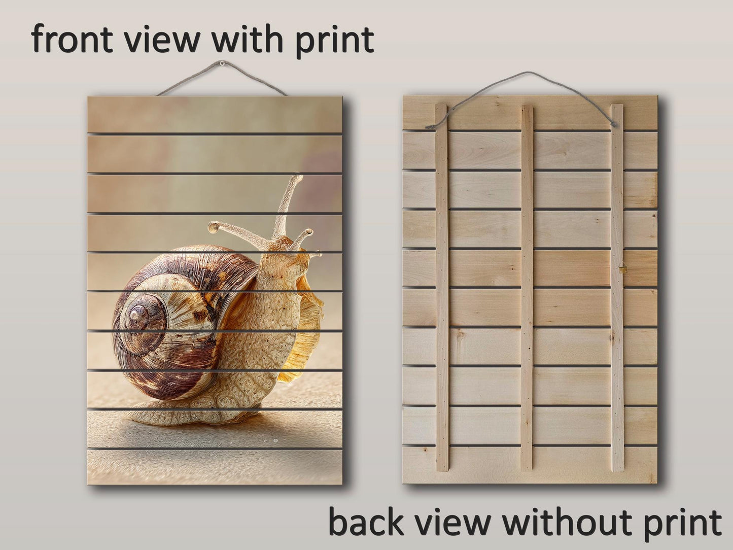 Snail Painting Wood Art – Whimsical Animal Print, Rustic Wood Wall Decor | Eco Friendly