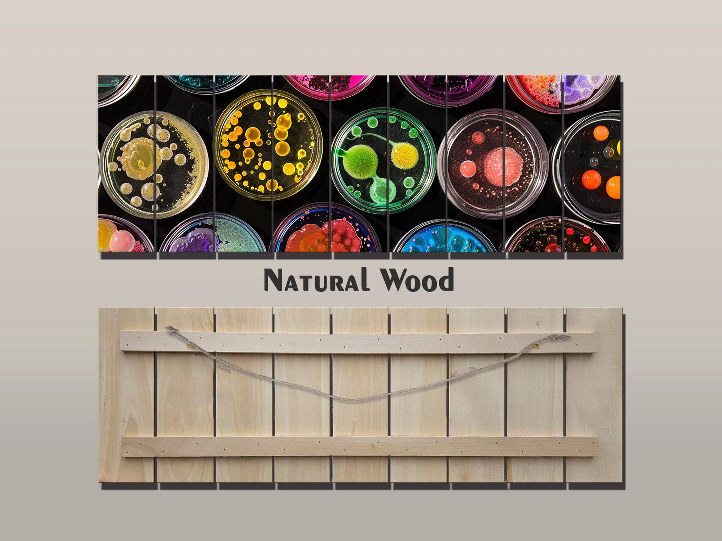 Petri Dish Wall Art – Colorful Abstract Science Print on Natural Wood Decor