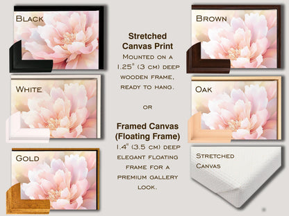 a picture of a pink flower on a white background