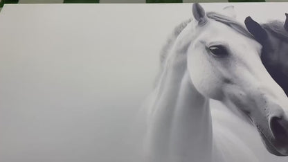 Horses Canvas Print – Black and White Horses in Love Romantic Wall Art, Large Cotton Canvas