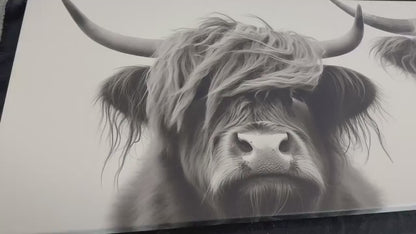 Highland Cows Canvas Print – Framed Canvas Art | Farmhouse Wall Decor Ready to Hang